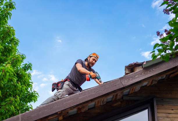 Best Roof Leak Repair  in Bellevue, ID